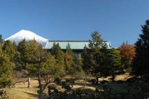 honbutofuji